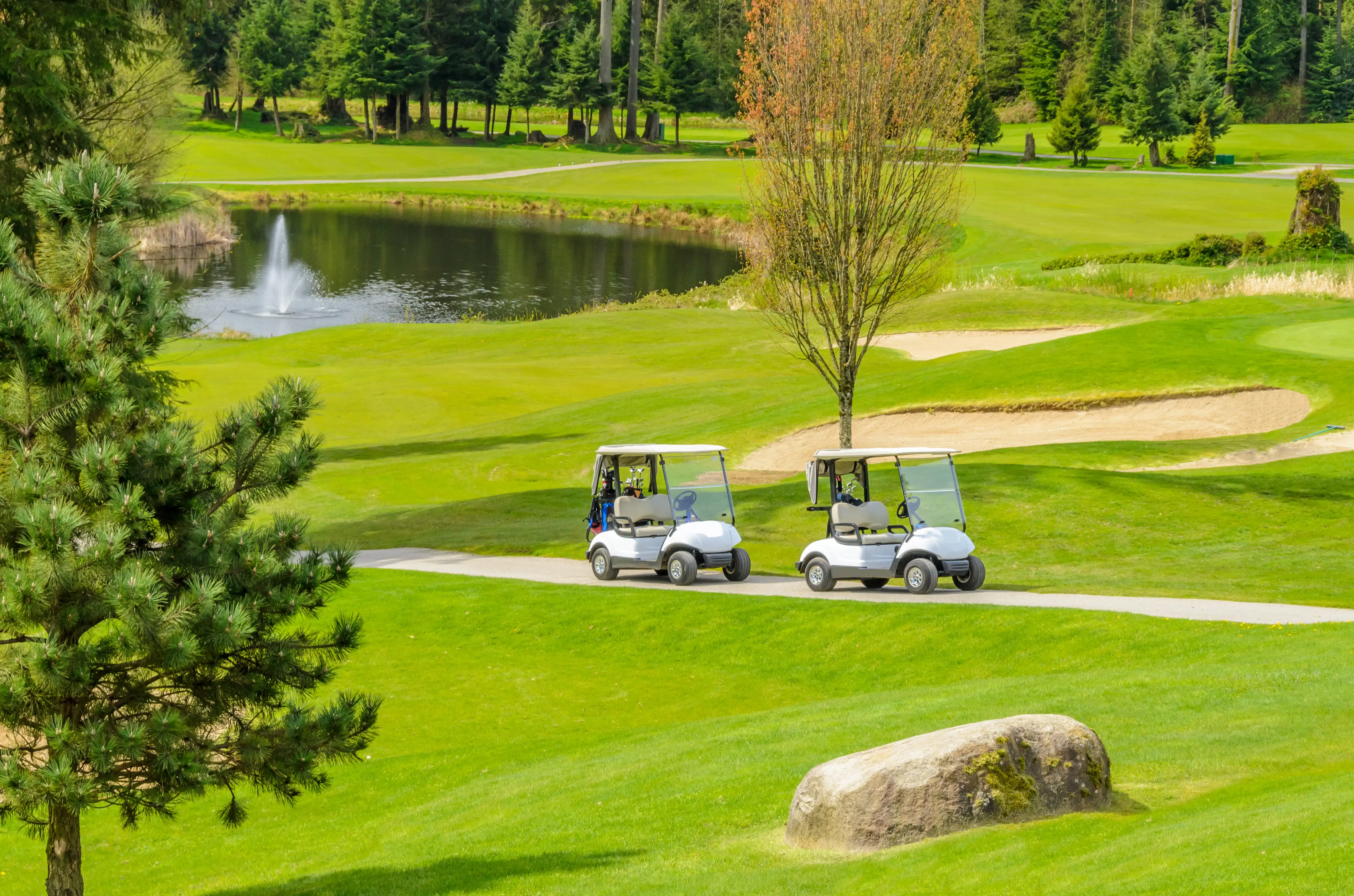 Golf carts on a fairway